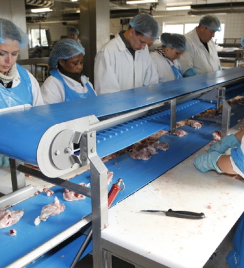 Conveyor Belts & V-Belts BANDO 1 ~blog/2021/10/4/volta