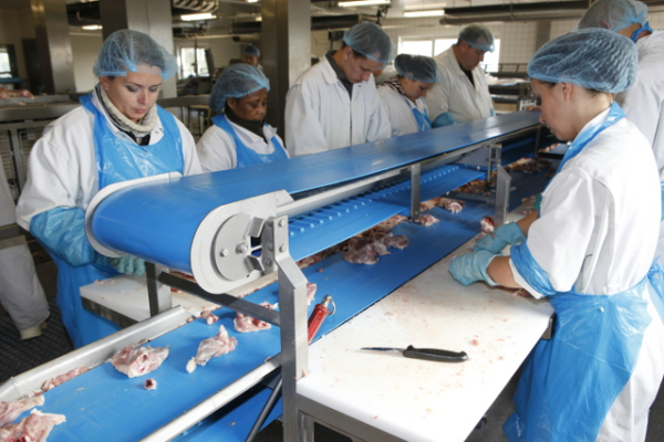 Conveyor Belts & V-Belts BANDO 1 ~blog/2021/10/4/volta